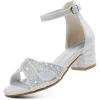 Silver Rhinestone
